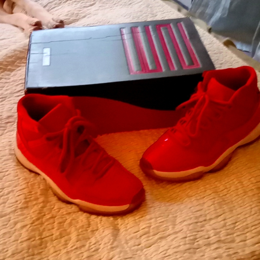 Air Jordan 11 Retro